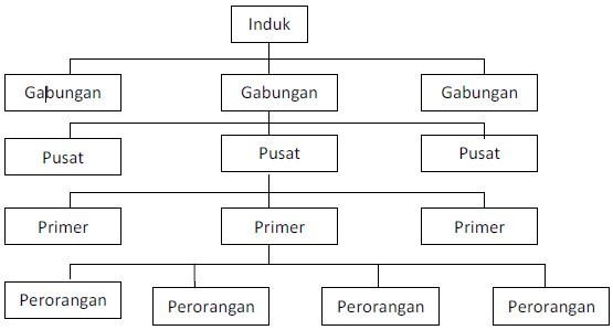struktur organisasi koperasi