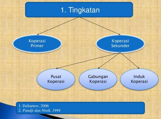 4 Tingkatan Koperasi Di Indonesia (Struktur Dan Usahanya)