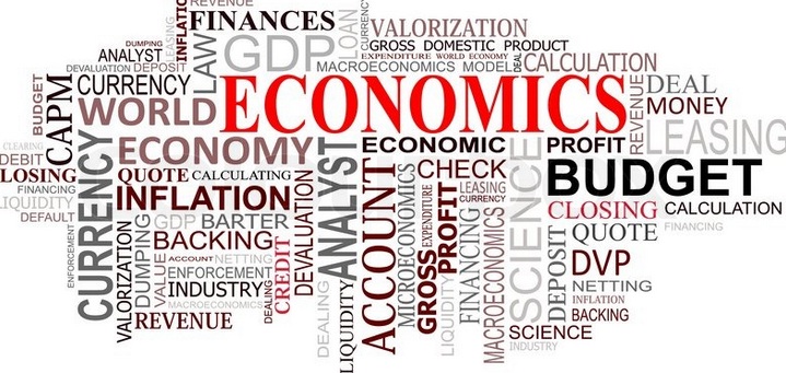 15 Cabang-Cabang Ilmu Ekonomi